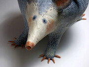 Possums (detail)